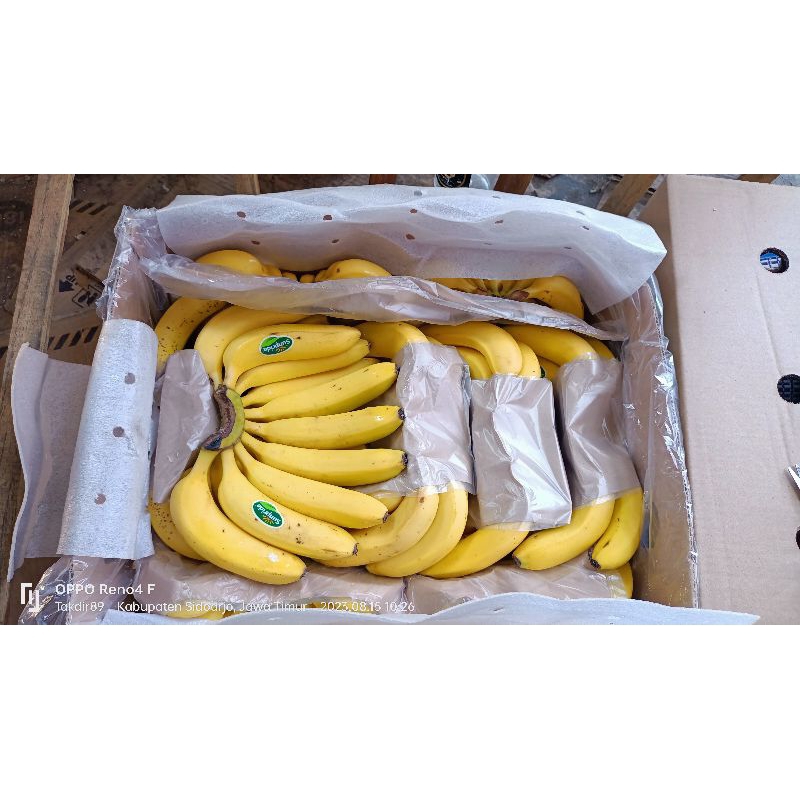 

Pisang Cavendish Sunpride C3B Karton 13Kg