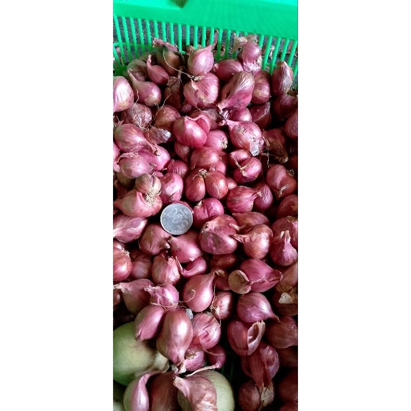 bawang merah super besar  1kg