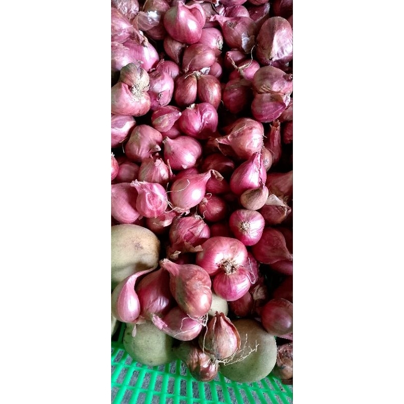 

bawang merah campur 1kg