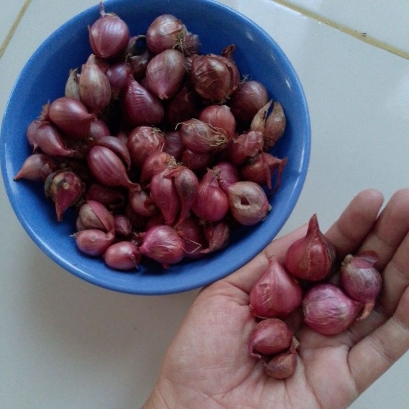 

bawang merah sedang 1kg