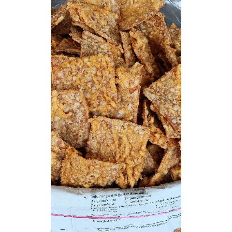 

TSG Tempe Goreng Original 500g 1kg
