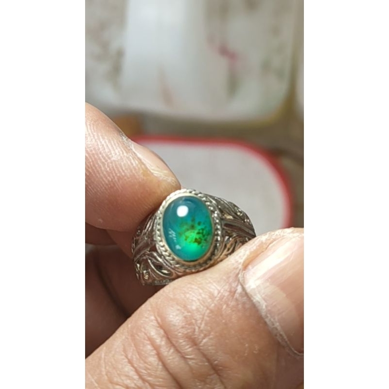 bacan doko majiko hq giwang coklat