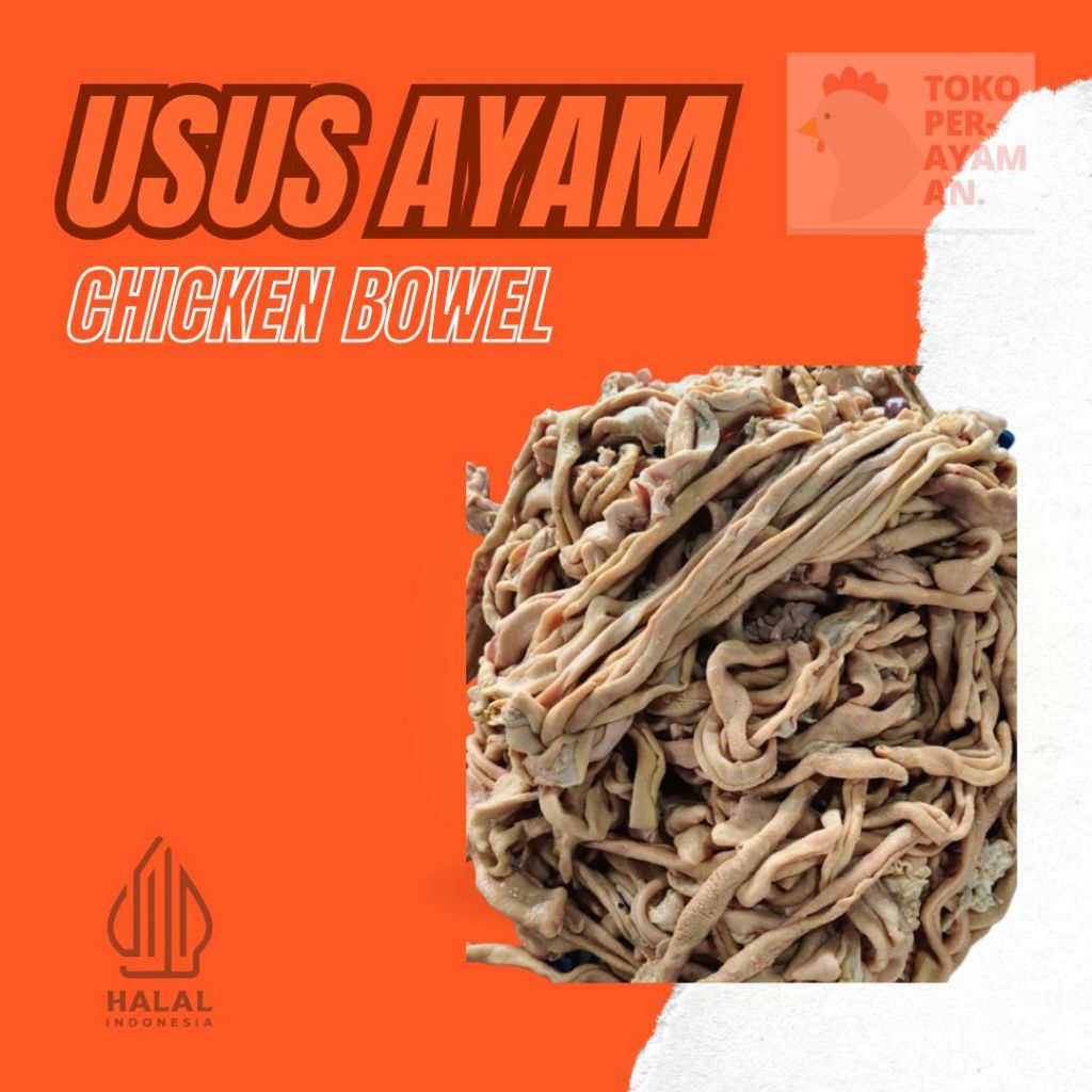 

USUS AYAM