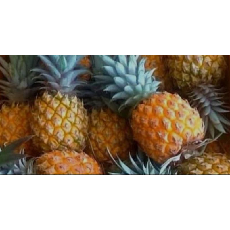 

Nenas madu dan Manis