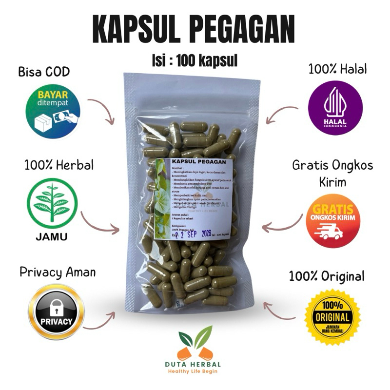 Kapsul Pegagan Isi 100 Asli Herbal untuk Meningkatkan Daya Ingat