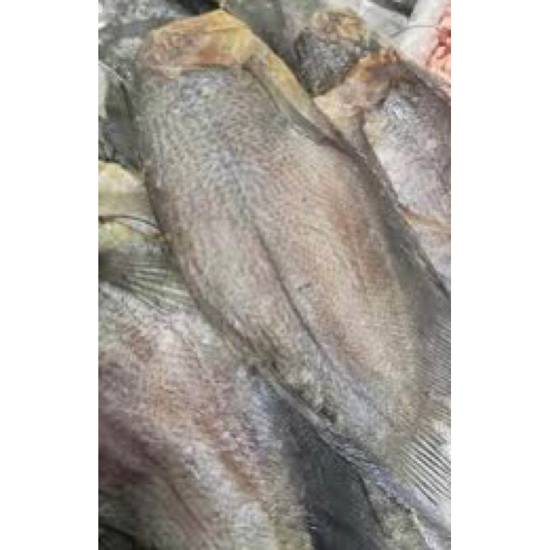 

Ikan Sepat Asin ikan asin besar 100 gram