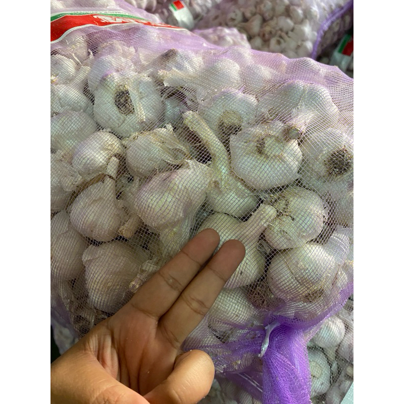 

Bawang Putih Kating karungan kotor