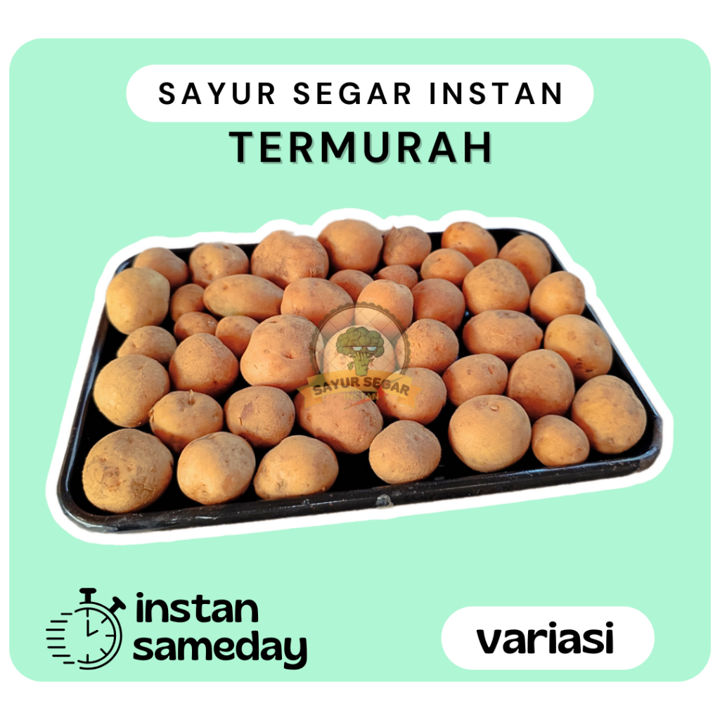 

Kentang Baby Kentang Rendang Kentang Kecil 500 gram