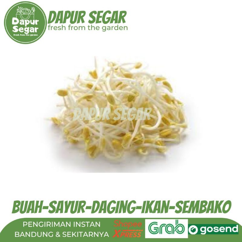 

TOGE KECAMBAH SEGAR 250G