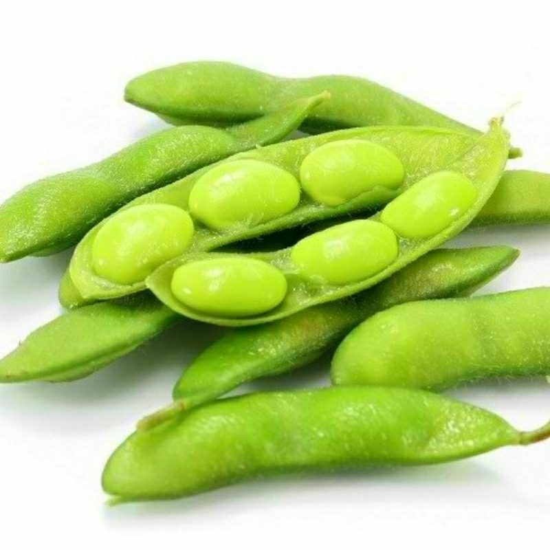 10 Biji - Benih Edamame - Kacang Kedelai Edamame - Kacang Kedelai Jepang Jumbo - Benih Berkualitas