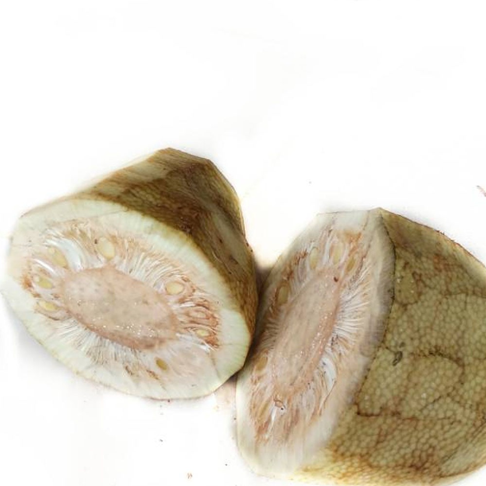 

NANGKA MUDA TEWEL GORI KUPASAN 500gram