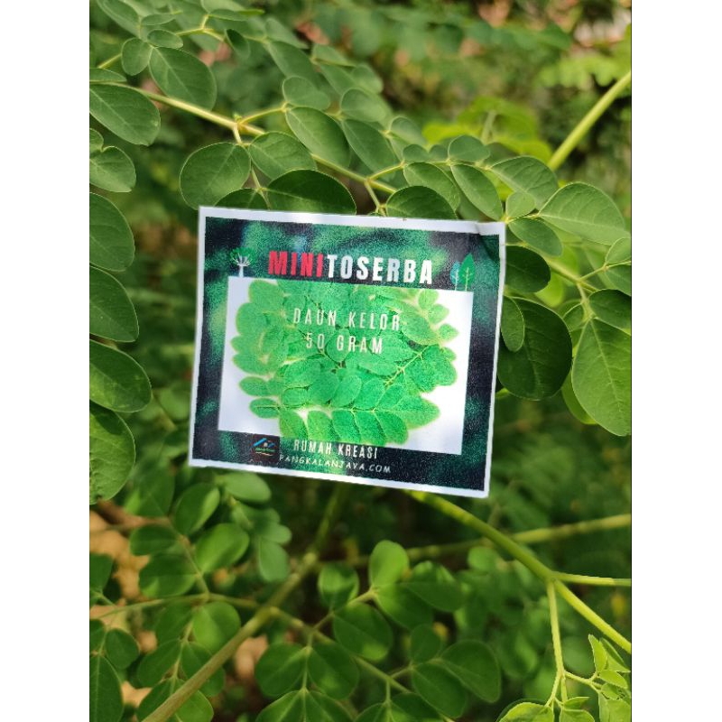 

teh daun kelor 1kg teh herbal daun kelor alami