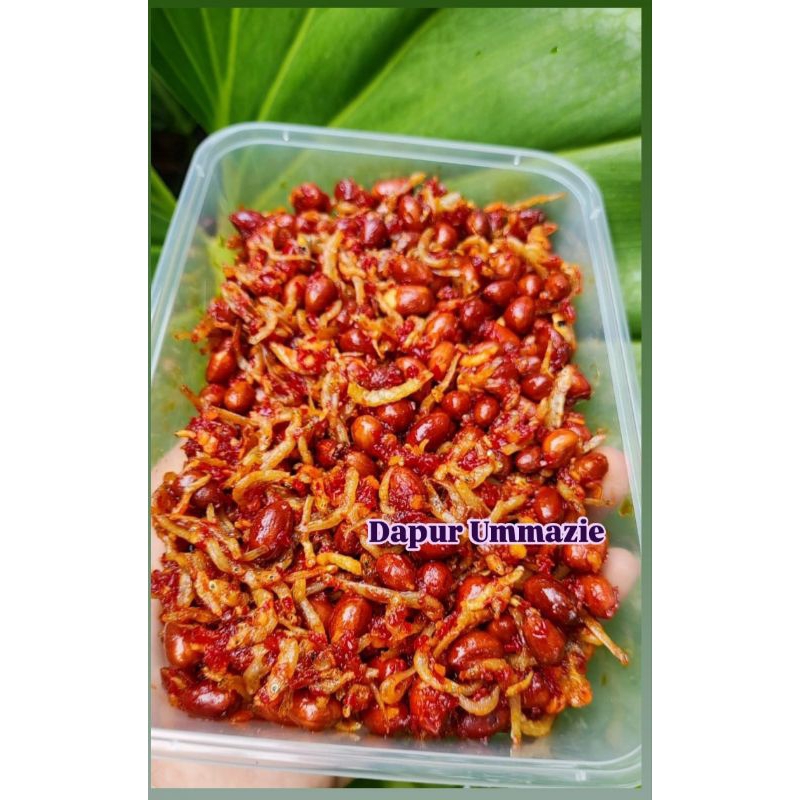 

SAMBAL KACANG TANAH + TERI MEDAN HALAL NON MSG HOMEMADE FRESH ANTI MELEMPEM