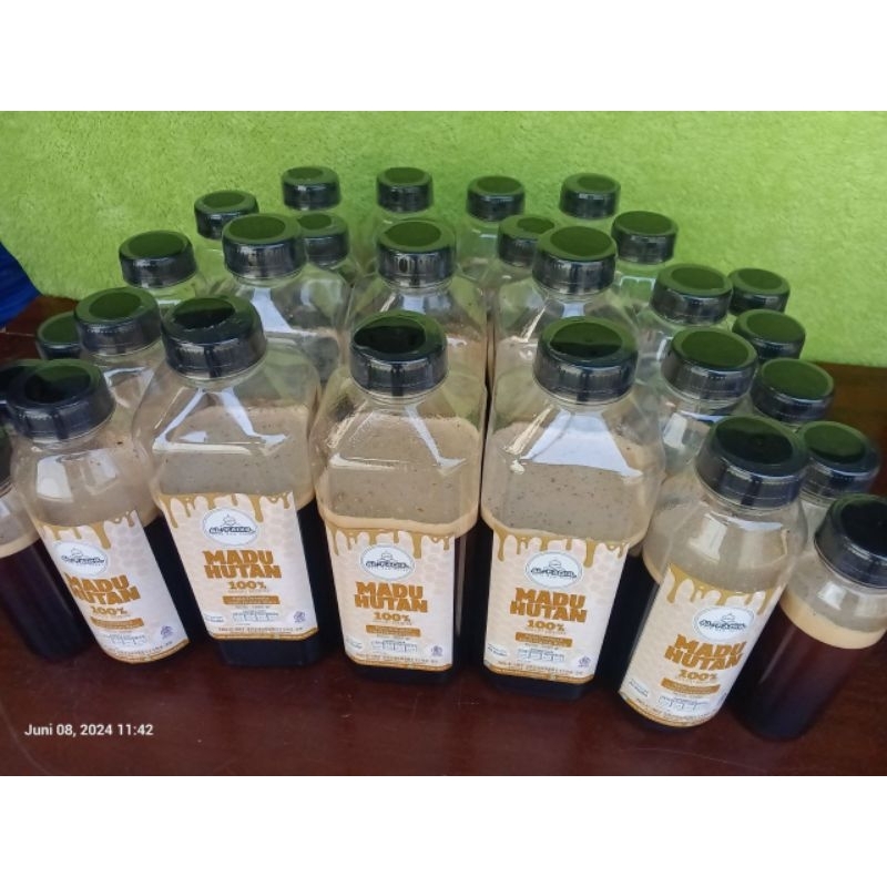 

Madu hutan dorsata riau