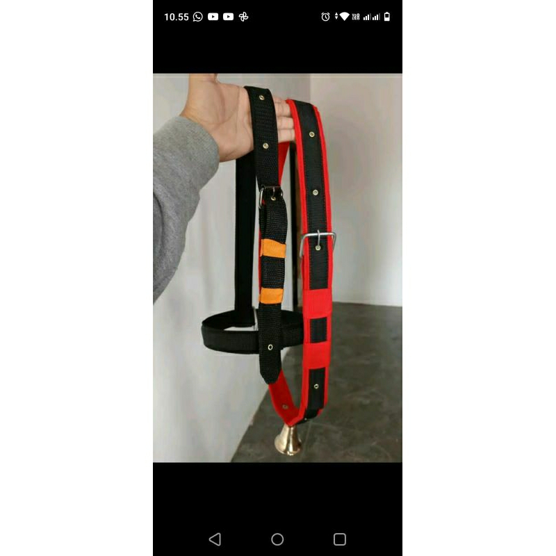 Aksesoris sapi full set