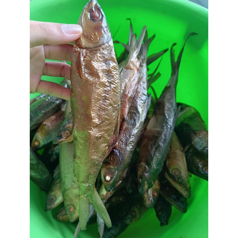 

Ikan Bandeng Asap Smoke RJ Fish