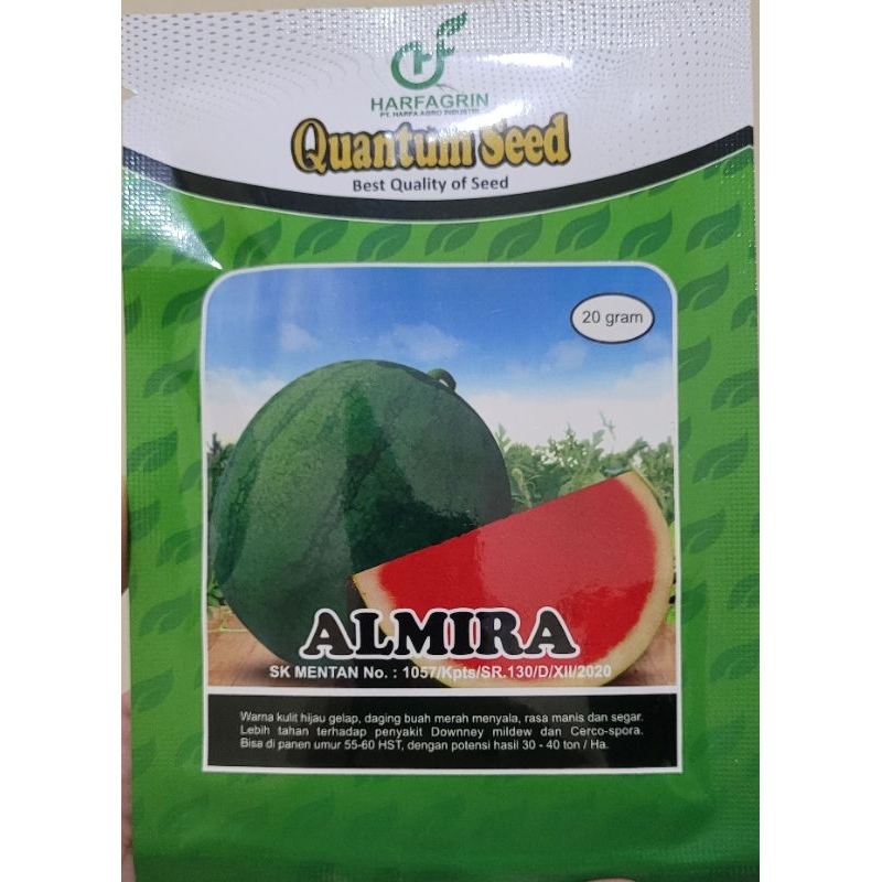 

Semangka Non Biji ALMIRA