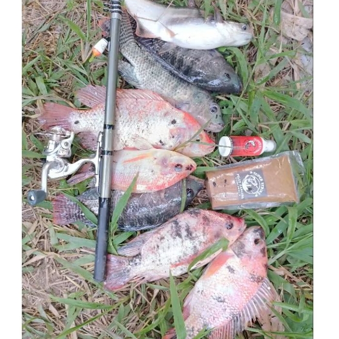 umpan mancing essen SUPER STRIKE essen ikan babon kolam empang sungai danau S.P