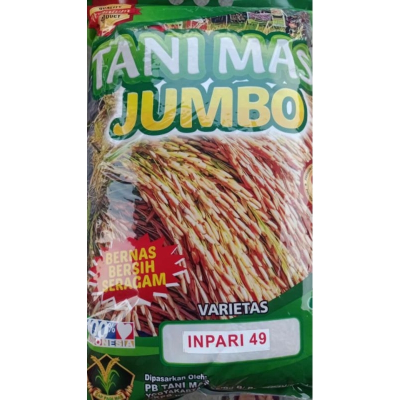 BENIH PADI INPARI 49 JEMBER