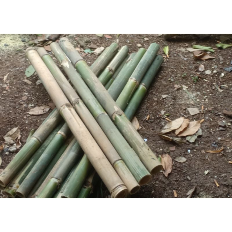 Bambu bulat panjang 1 meter