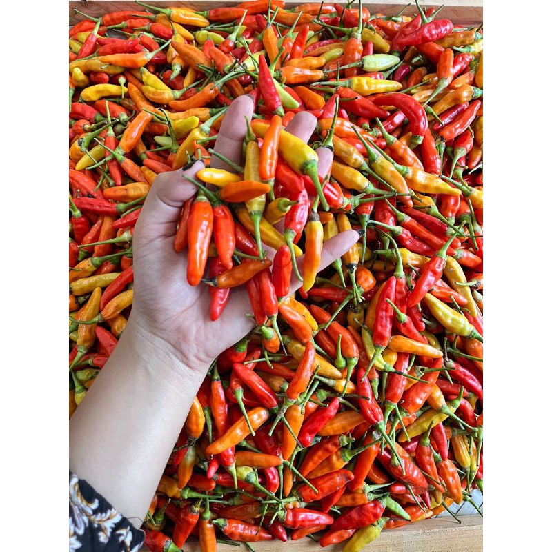 

Cabai Rawit Ori 500gram