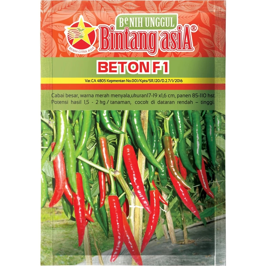 Benih Cabai Cabe Besar Hibrida BETON F1 10 Gram Cap Bintang Asia PT Benih Citra Asia Warna Merah Men