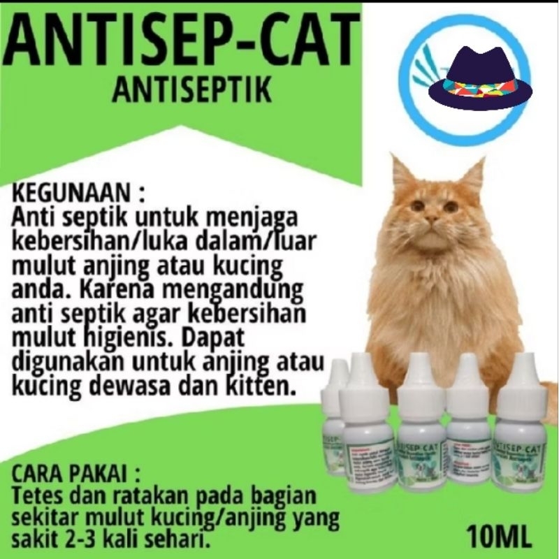 Obat luka mulut sariawan untuk kucing dan anjing sariawan ampuh