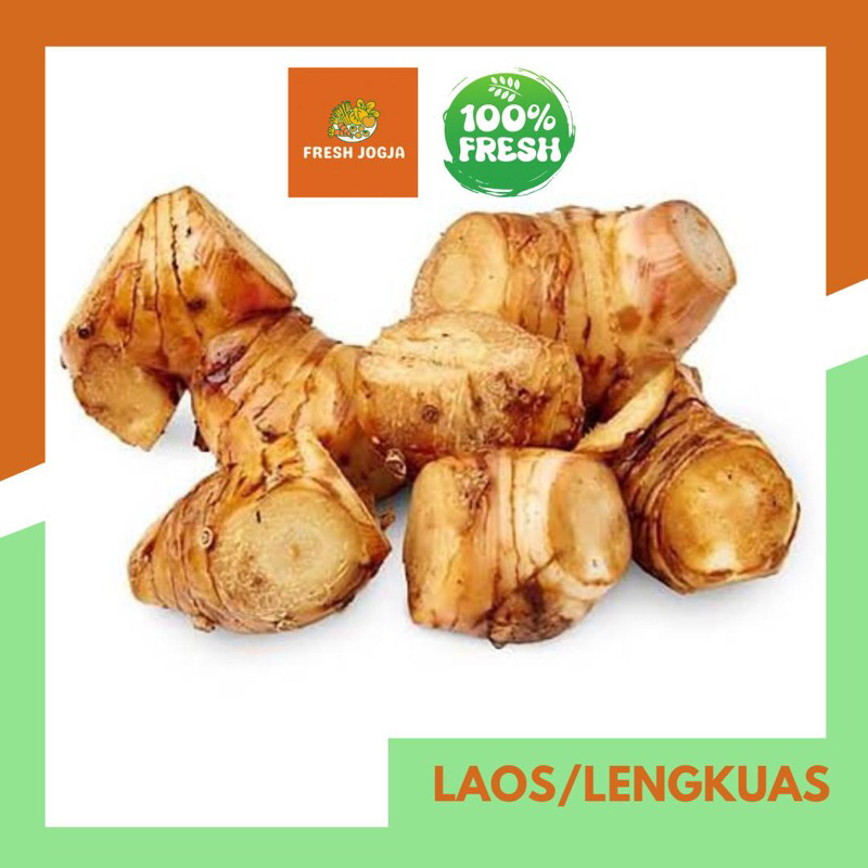 

Lengkuas / Laos per 250gr | Fresh Jogja
