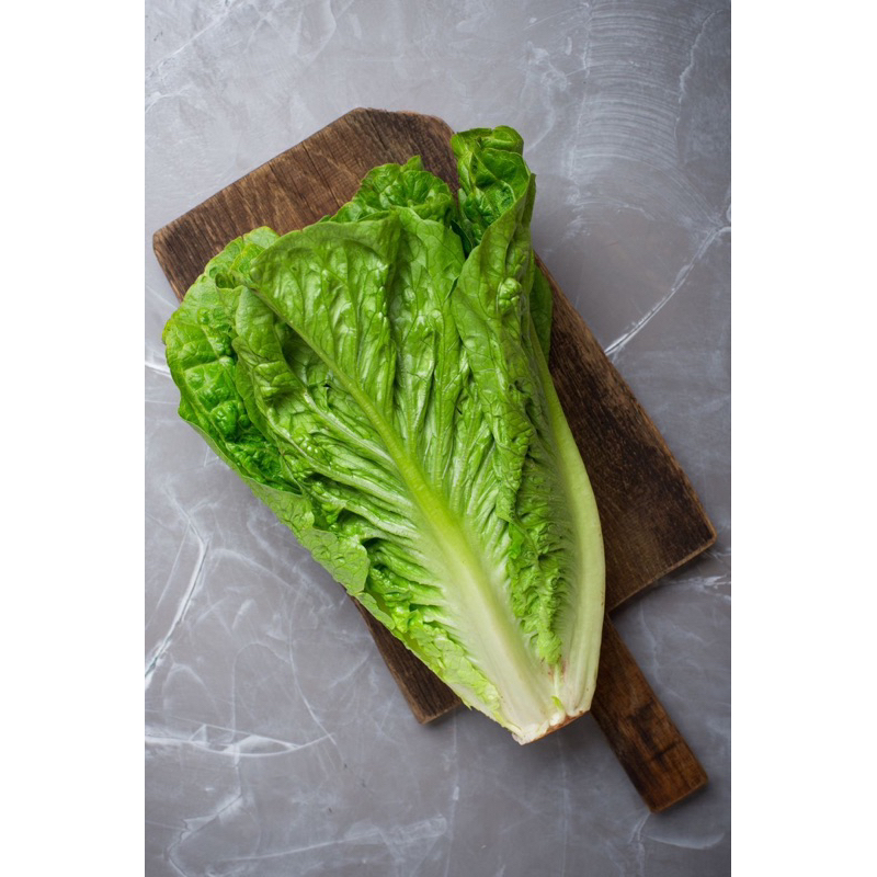 

lettuce romain
