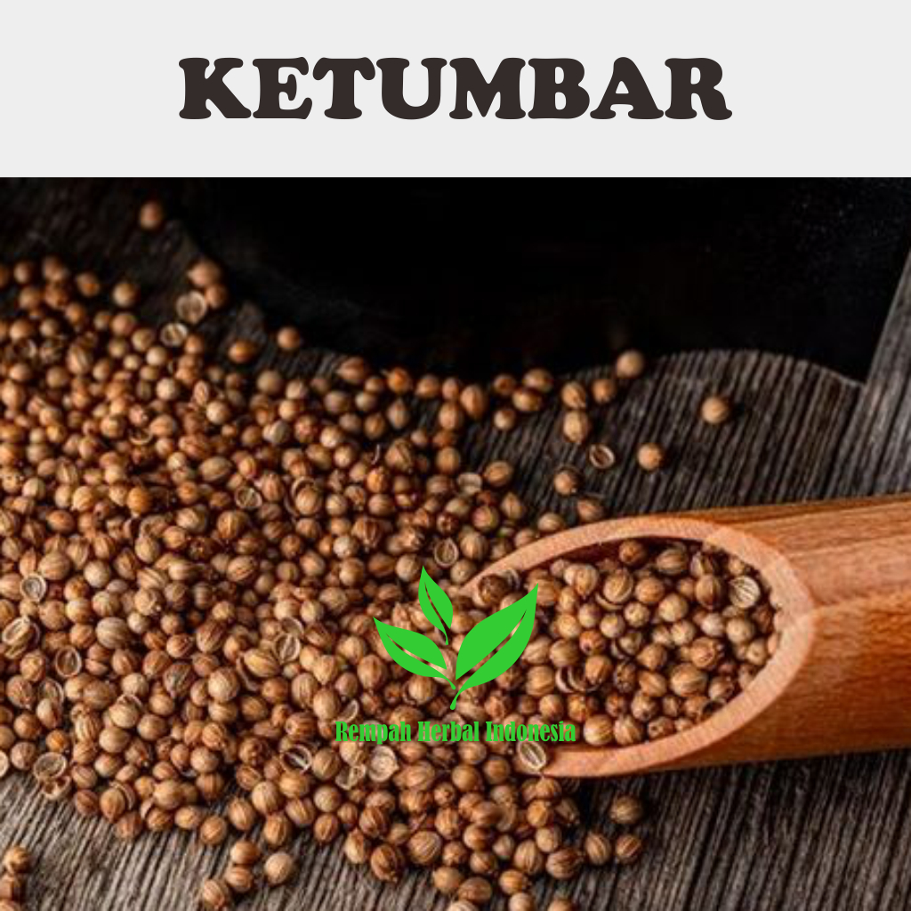 

100 Gr Ketumbar Organik Penurun Kolesterol dan kadar gula dara tanpa Pemutih Kualitas Premium