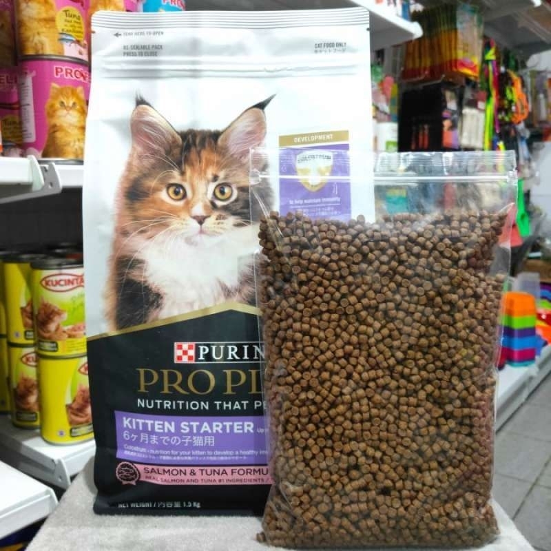 proplan kitten starter salmon & tuna formula repack 500gr - proplan kitten