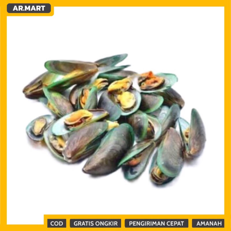 

Kerang HIJAU Segar 1 kg