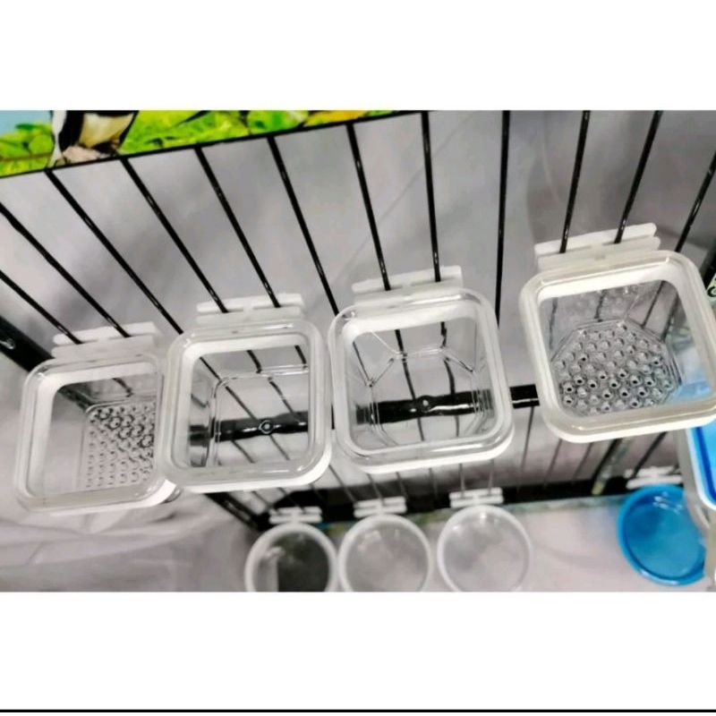 2PCS MAXGLO CEPUK KROTO DAN NEKTAR UNTUK BURUNG