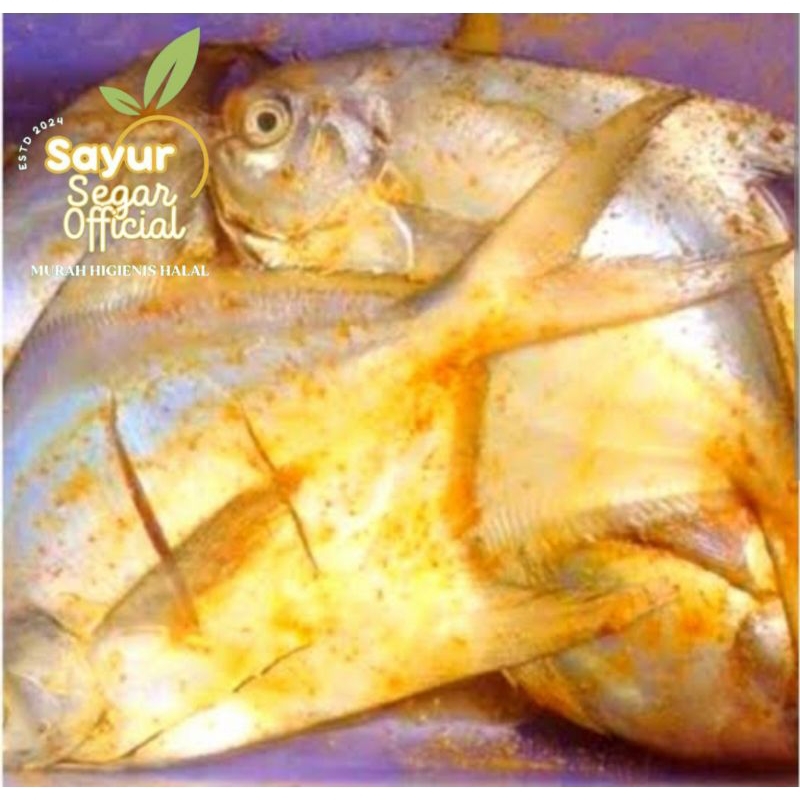 

Ikan Bawal Laut Bumbu Kuning 1kg - Kirim Instan