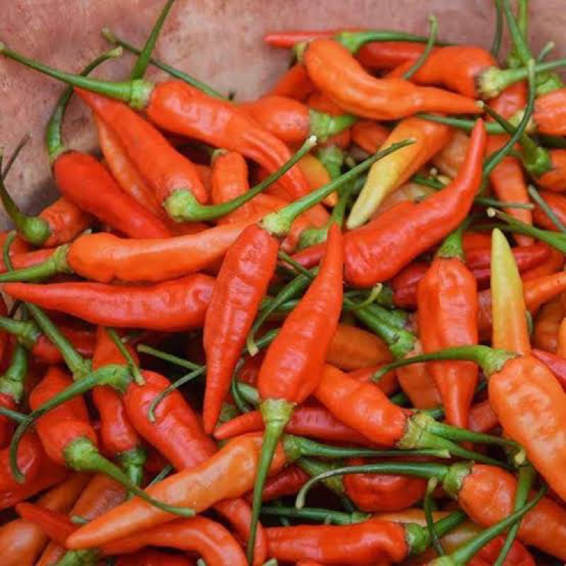 

Cabe Kecil Merah 1 kg