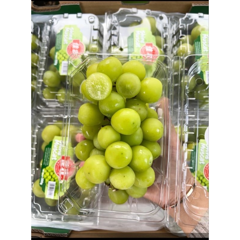 

Anggur Shine Muscat 500gr