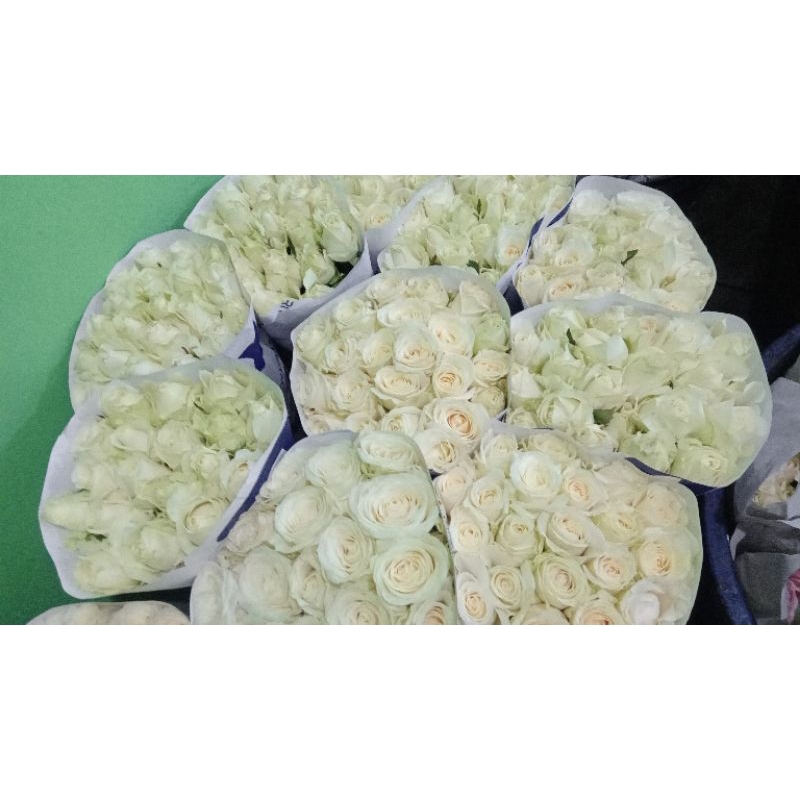 bunga mawar putih bandung 20 tangkai-bunga fresh