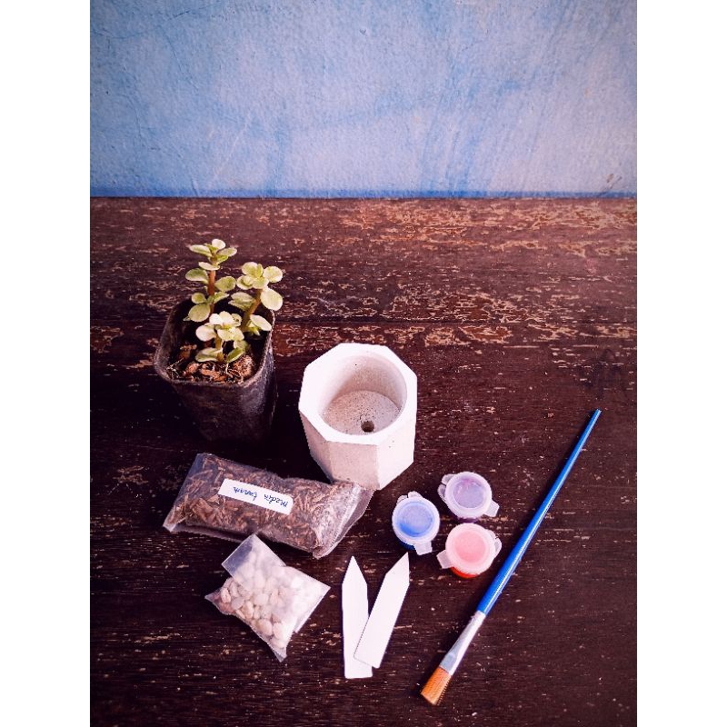 

Paket Lukis Kartini x Lusi