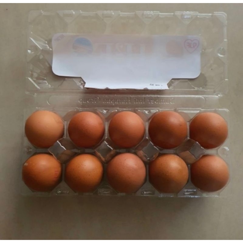 

Telur H2E