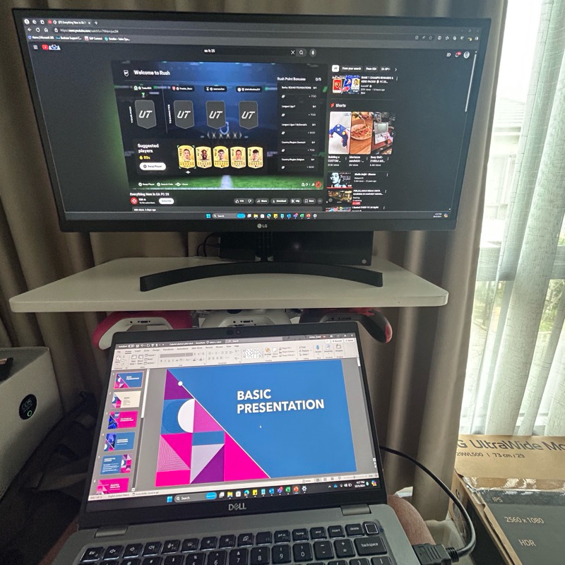 Ultrawide Monitor LG29WL500