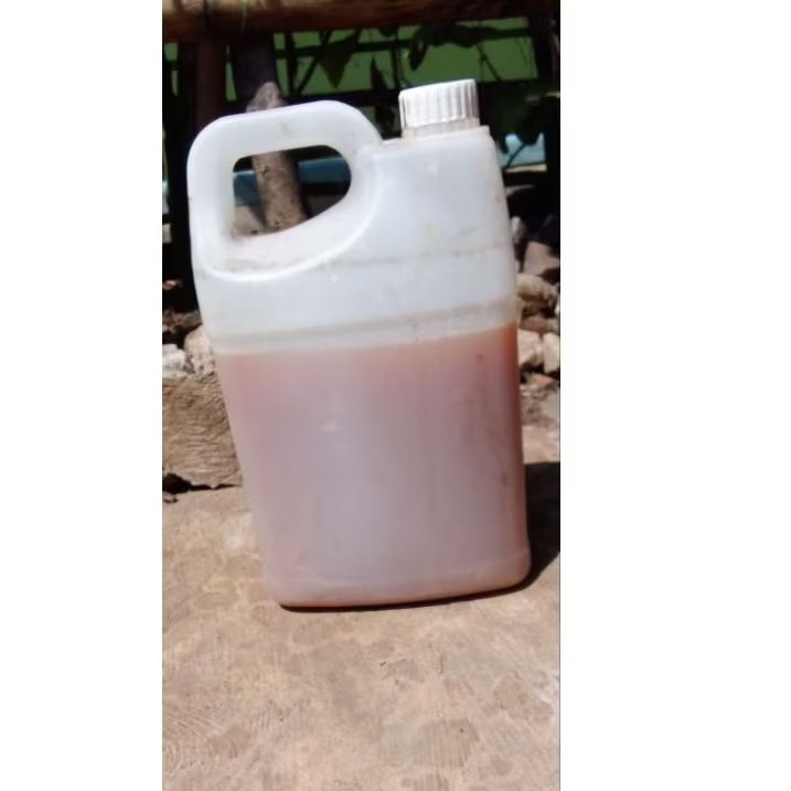 Pupuk Organik Cair Bahan air beras fermentasi Kemasan 5 Liter | Nutrisi Tanaman