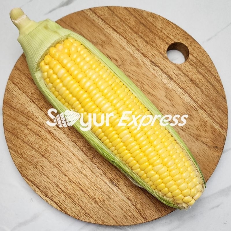 

KIRIM INSTAN Jagung Madu 1 Bonggol