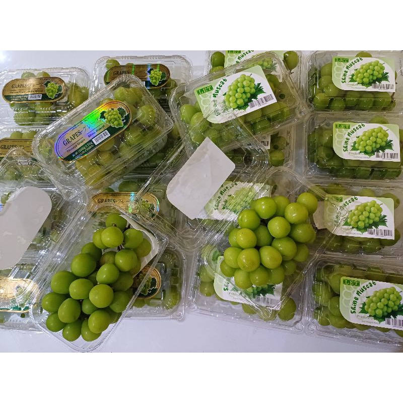

Anggur Shine Muscat