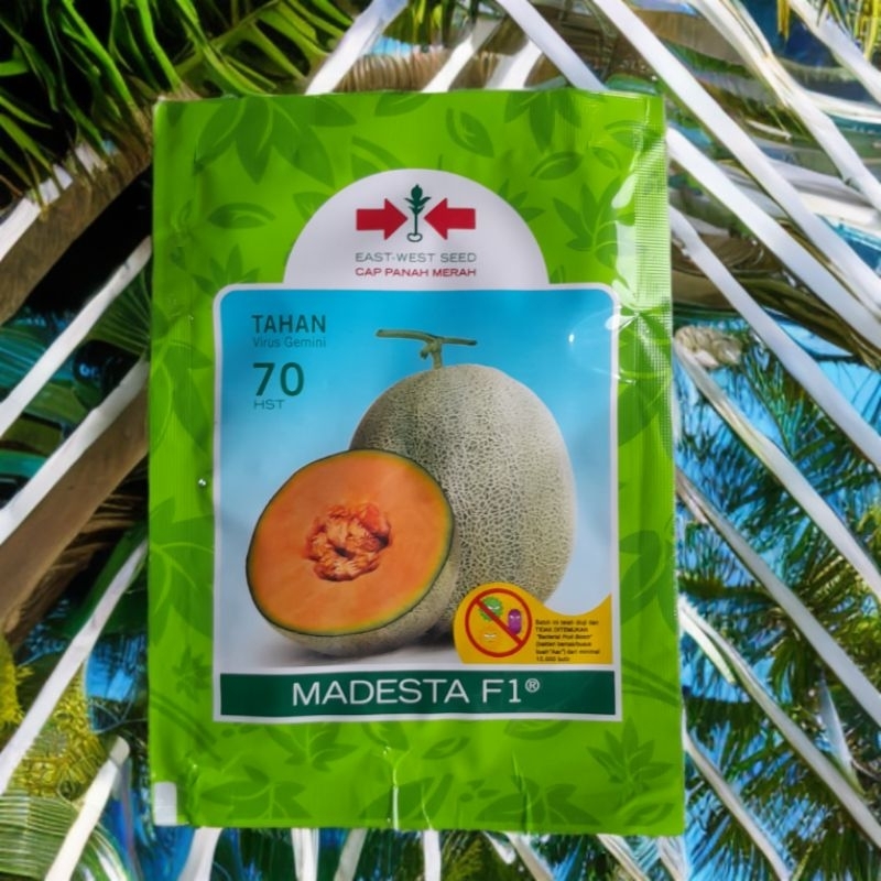 benih melon madesta f1 isi 400 butir