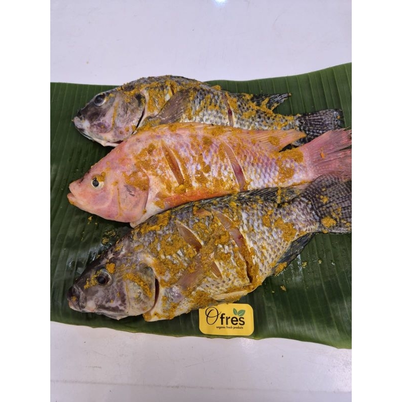 

Pepes Nila Lezat