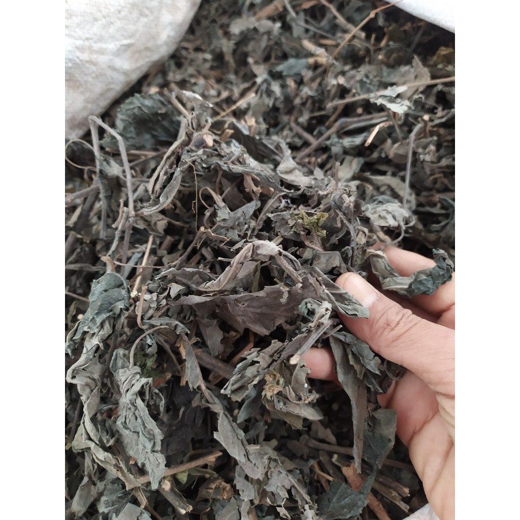 

Daun Keji Beling Kering 1Kg