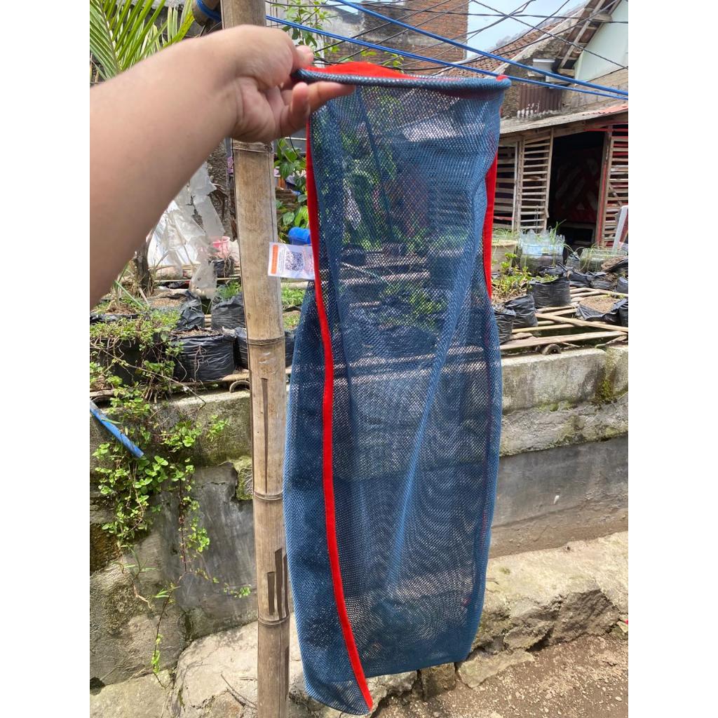 KORANG KOJA IKAN UKURAN KECIL PREMIUM