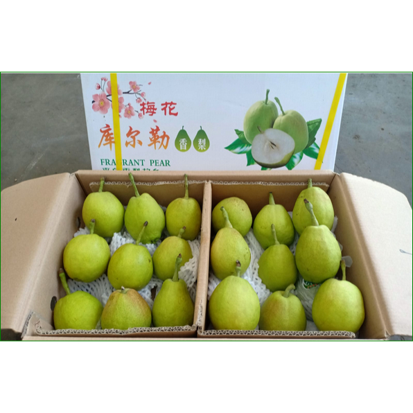

Pear Xianglie Jumbo 900gr - 1 KG