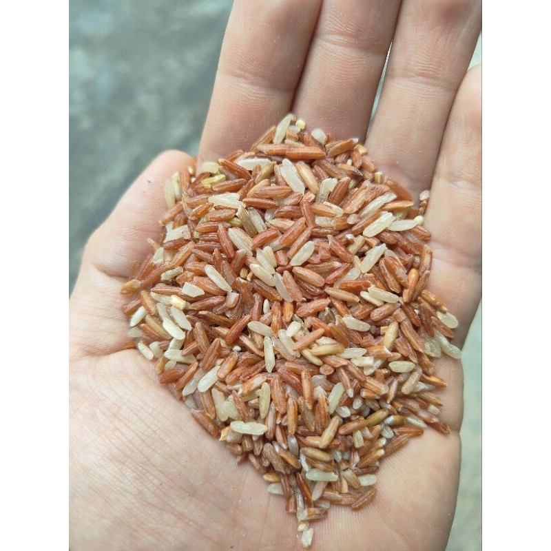 

BerasMerah