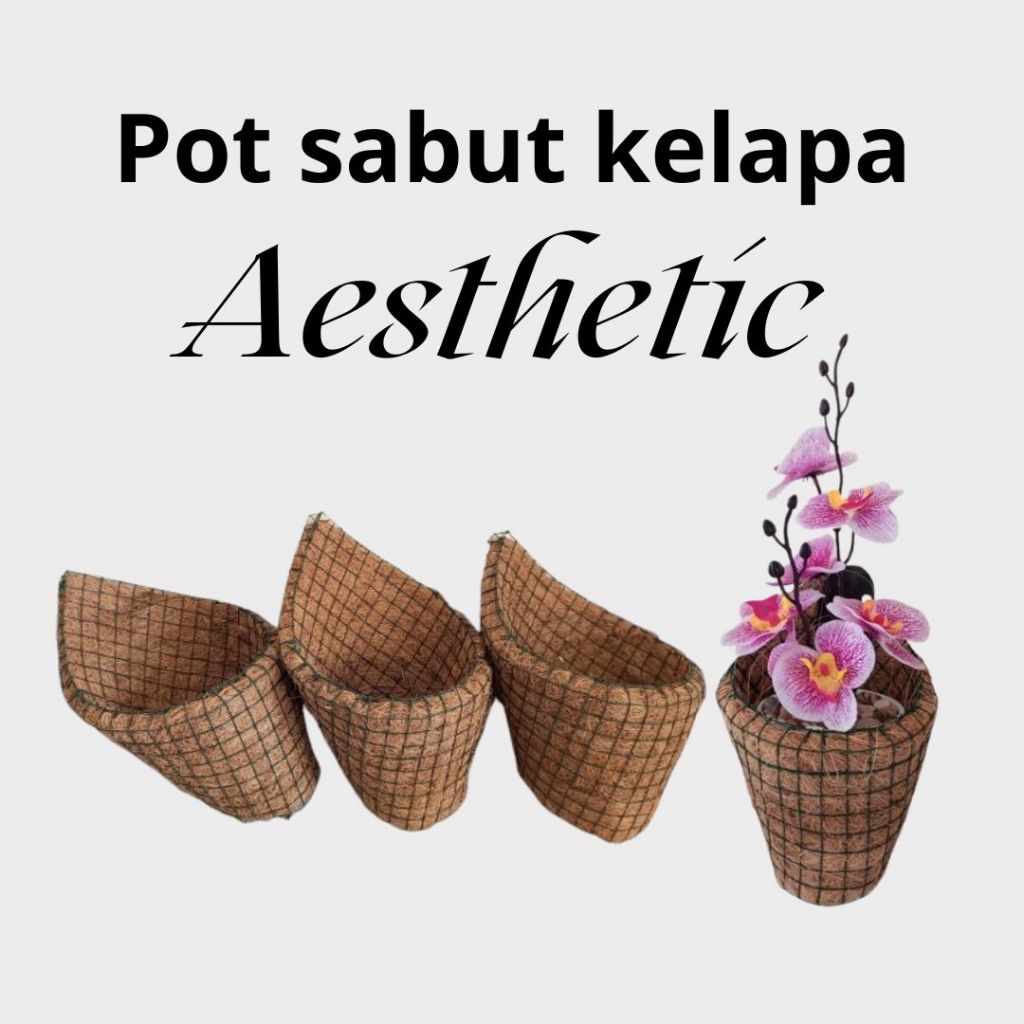 Pot Sabut Kelapa Tempel Dinding Kecil Bunga Anggrek